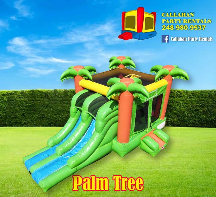 Bounce Houses Callahan Party Rentals Warren MI